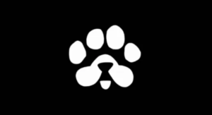 PAWS Listing Date: Major Announcement on Feb 27—Is Binance Next?